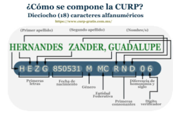 Curp Consultar Consultar E Imprimir Curp Y Rfc Gratis En Linea 0820